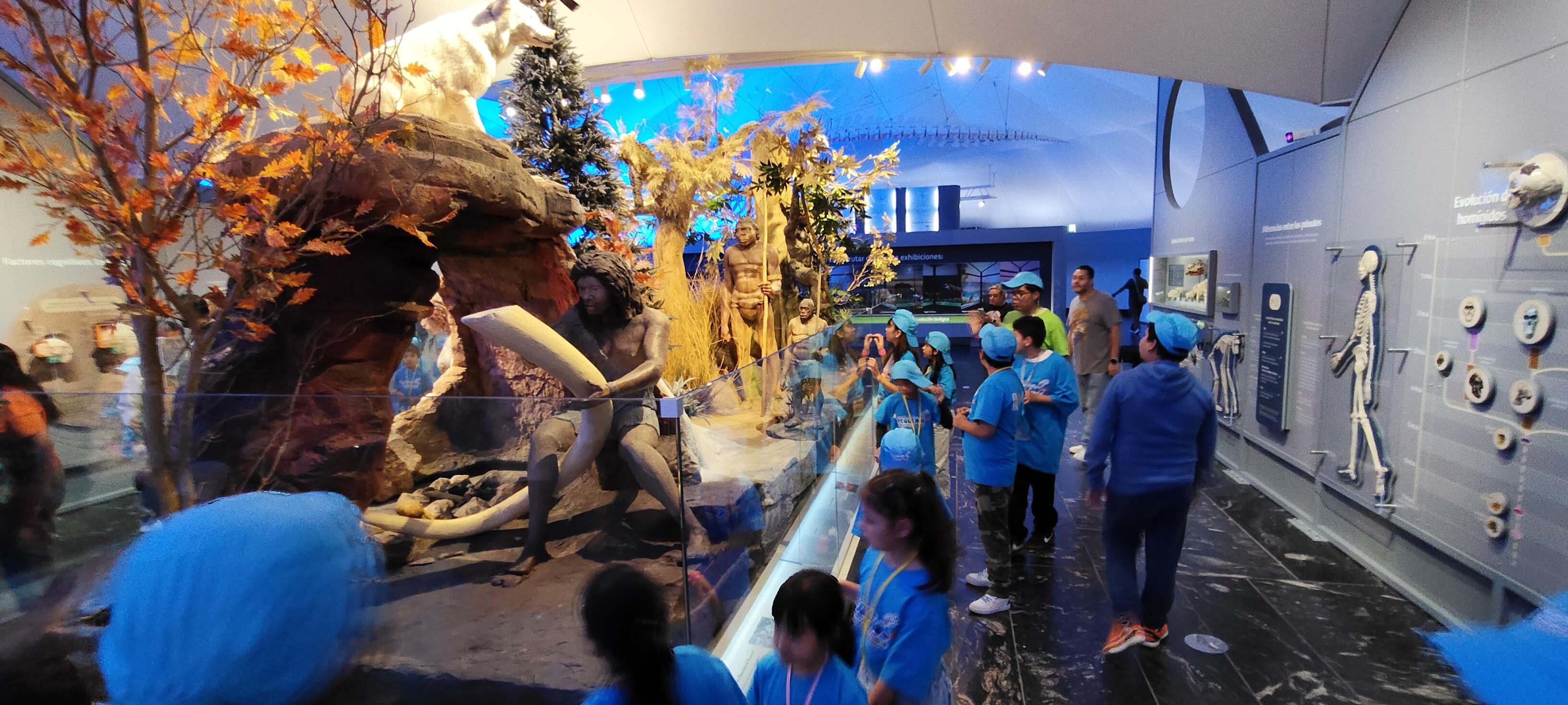 Curso de verano SNTISSSTE, Visita al Museo de Historia Natural